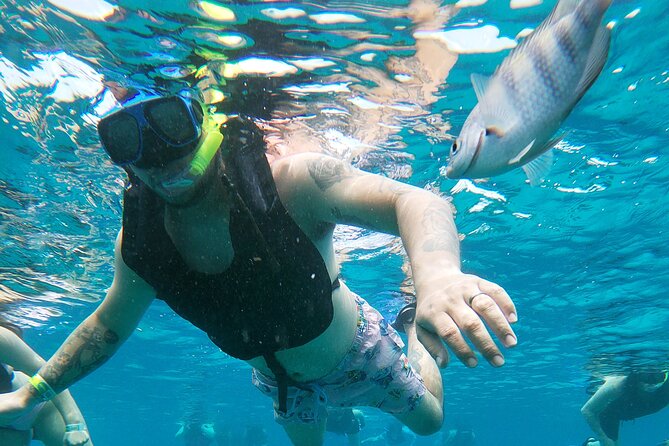 Chankanaab Park Admission + Snorkeling - Who this snorkeling and park combo suits best