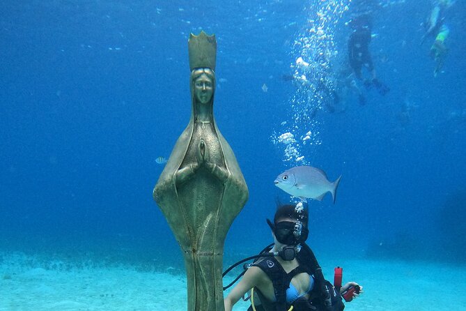 Chankanaab Park Admission +Snorkeling + Lunch included - Price, value, and the extra government fee you should budget for