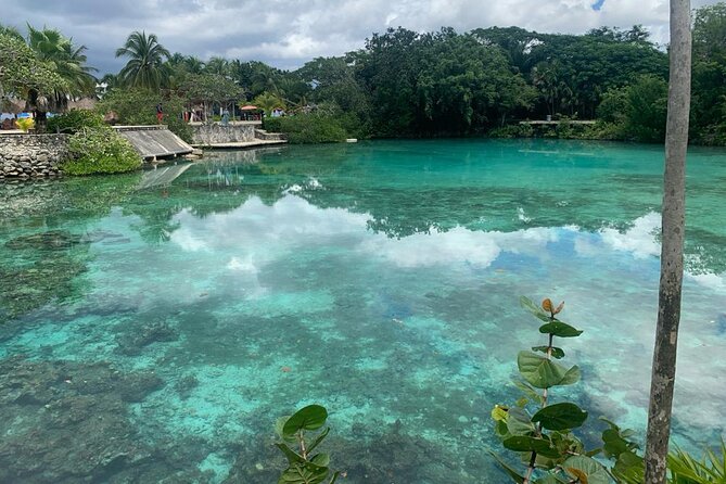 Chankanaab Park and Island Tour by Buggy with Mexican Lunch - Price and Value: Is $104.99 a Good Deal?