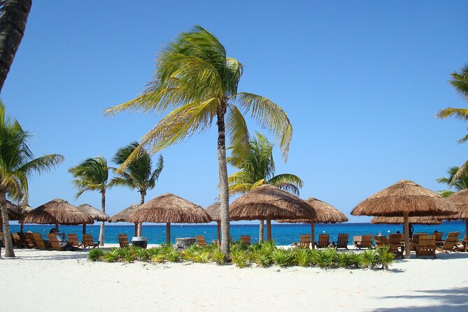 Chankanaab Park and Island Tour by Buggy with Mexican Lunch - Royal Village Check-In and the Reality of Shared Manual Buggies