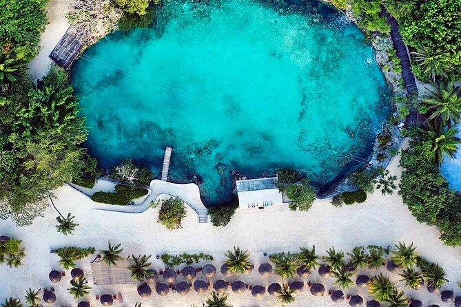 Chankanab Park Admission +Open bar +Lunch included +Snorkeling - Snorkeling at Chankanaab Reef: the main event (and why gear matters)