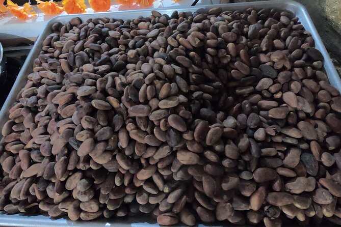 Chocolate Tasting & mayan Presentation - Value check: why $82 can be a fair deal in Cozumel