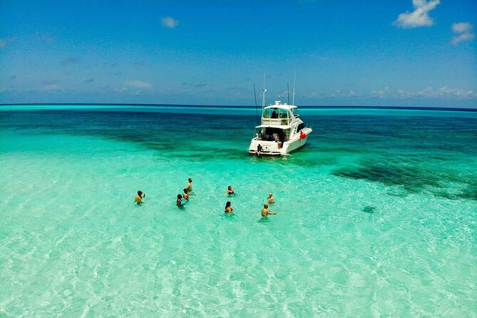 Cielito Cozumel: Mexican Caribbean Snorkeling Tour - Palancar Reef: Caves, Giant Sponges, and the Wow Factor