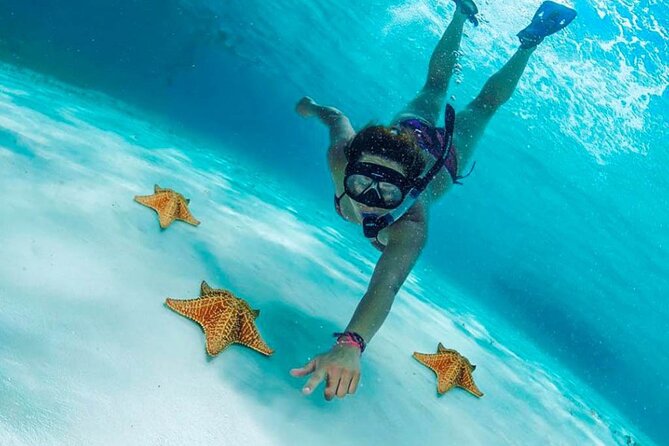 Cielito Cozumel: Mexican Caribbean Snorkeling Tour - Playa Palancar Beach Club and Colombia Reef: Fun, Deeper Water, More Structure