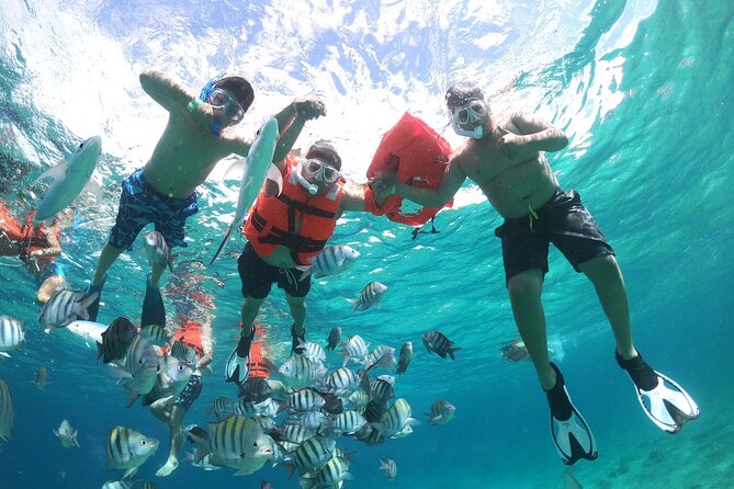 Clear Boat and Island Tour by Buggy with Mayan Experience - San Martin Beach Lunch, Fajitas, and a Local-Style Break