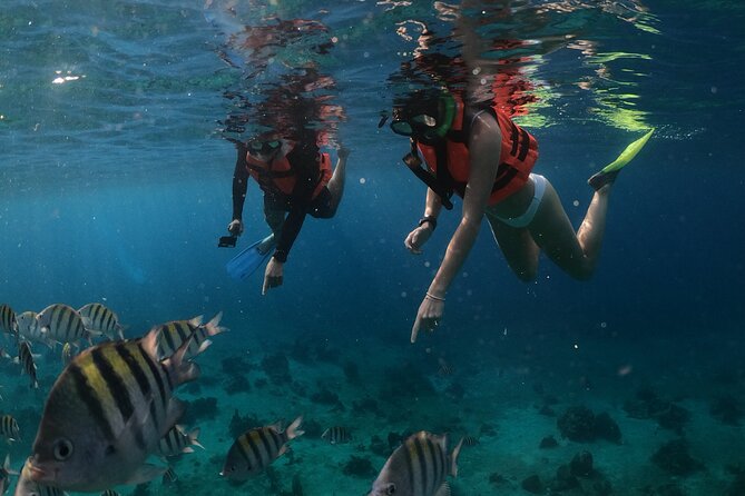 Clear Boat & Snorkel Cozumel Tour with Drinks - Your 1.5 hour plan: from sailing views to snorkeling time