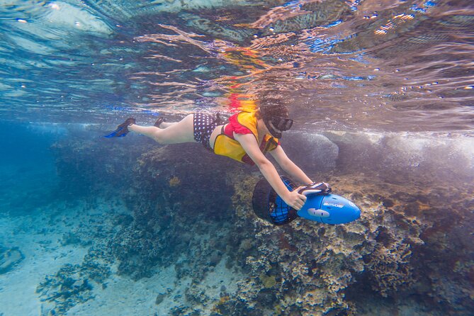 Clear Kayaking, Sea Scooters Adventure - The Underwater Experience: Coral, Fish, and Getting Your Bearings