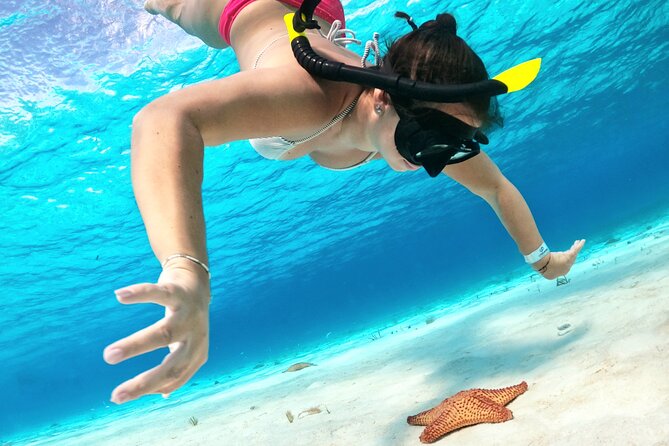 Colombia, Palancar & Cielo Cozumel Snorkel Tour - Boat Setup, Group Size, and Why It Matters Underwater