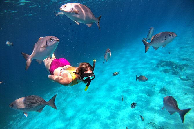 Colombia, Palancar & Cielo Cozumel Snorkel Tour - The Snorkeling Stops: What Each Area Is Like