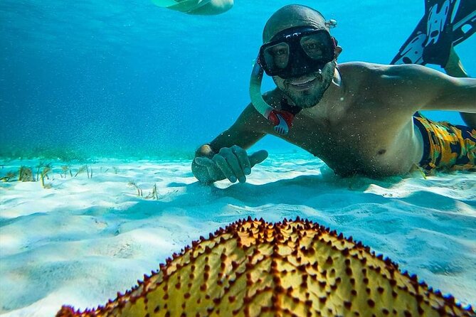 Colombia, Palancar & Cielo Cozumel Snorkel Tour - Timing Reality: When Multi-Stop Tours Feel Rushed