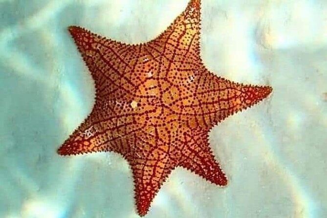 Colombia, Palancar & Cielo Cozumel Snorkel Tour - Gear, Comfort, and the One Thing You Need to Plan For