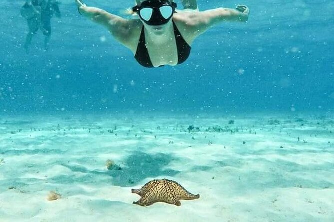 Cozumel 4 Hour Boat Sky Tour - Key highlights you will feel right away