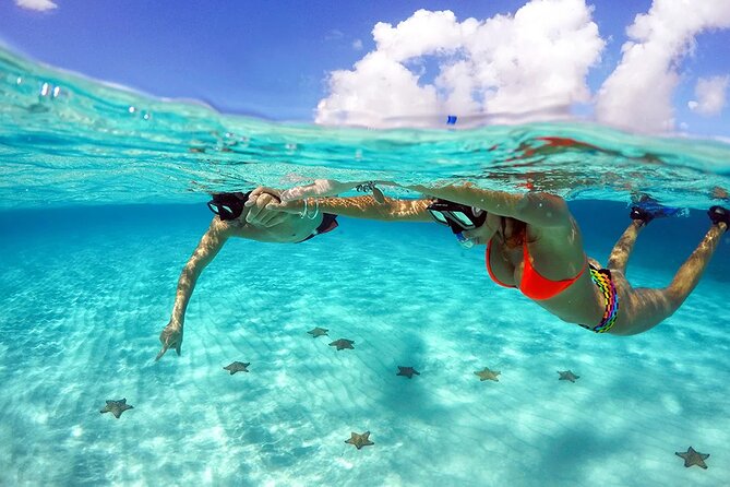 Cozumel 4 Hour Boat Sky Tour - Stop 2: Palancar Reef at 6 to 7 meters, where marine life ramps up