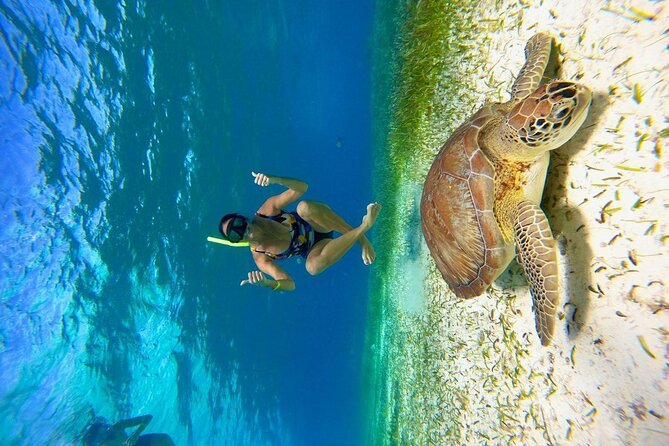 Cozumel 4 Hour Boat Sky Tour - Snorkel and scuba gear, plus the onboard snacks and drinks