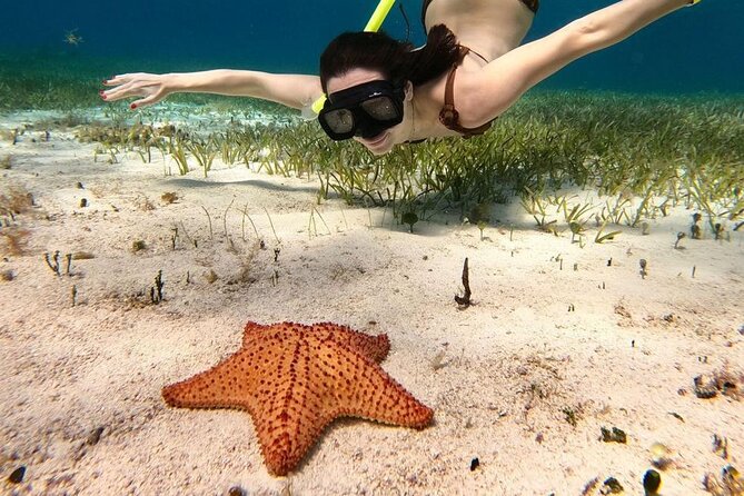Cozumel 4 Hour Boat Sky Tour - Price and value: $68.39 plus the reef conservation fee