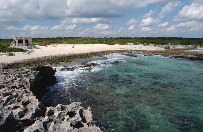 Cozumel 5-Hour Private Bar Crawl Tour - Key points before you go