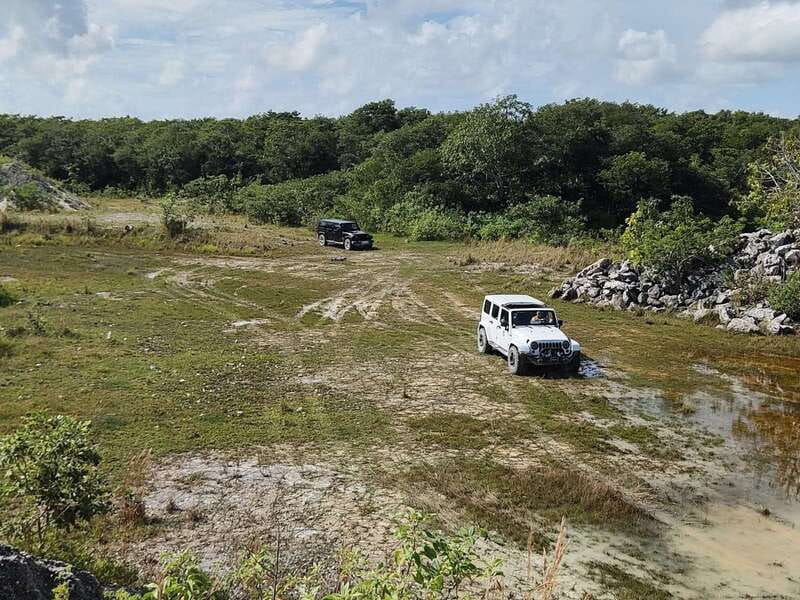 Cozumel: 5-Hour Private Caves and Ruins Tour with Lunch - Why this Cozumel trip feels different from a cruise bus