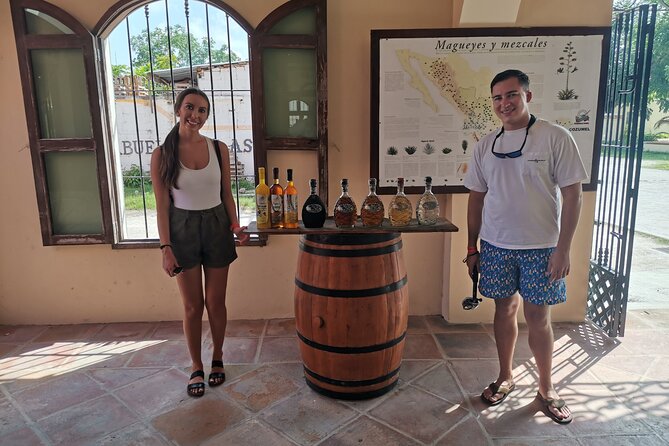 Cozumel Adventure Private Jeep or Buggy Excursion + Lunch&Snorkel - Cenote Aerolito de Paraiso: Mayan connections and an optional swim