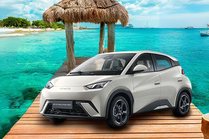 Cozumel Airport to Hotel Private Transfer by Car - From Customs to Your Car: The Pickup Flow You Should Expect