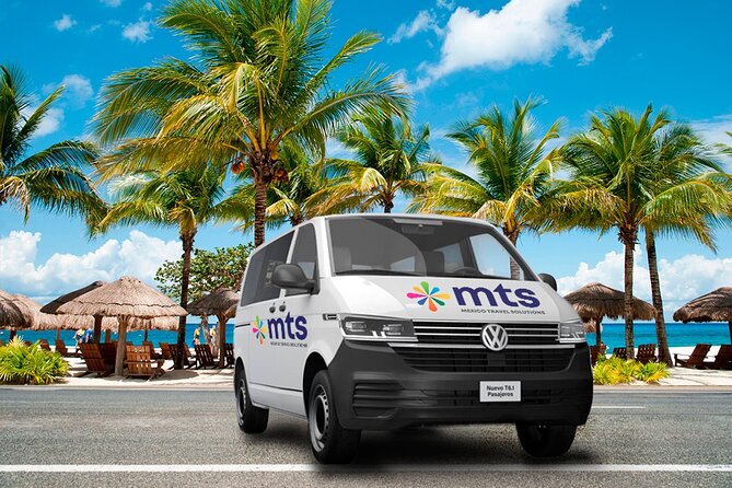 Cozumel Airport to Hotel Shuttle Transportation - After landing: customs time plus the walk to your pickup point