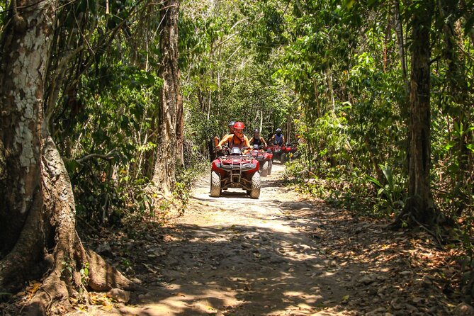 Cozumel ATV Tour & Beach Break - Private tour feel for your group