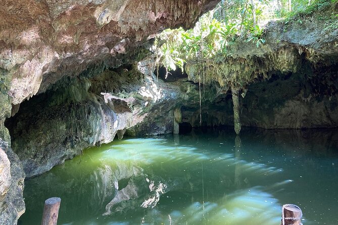 Cozumel ATVs, El Cedral Ruins, Cenote Jade, and Tequila - Guides, photos, and the small stuff that changes the vibe