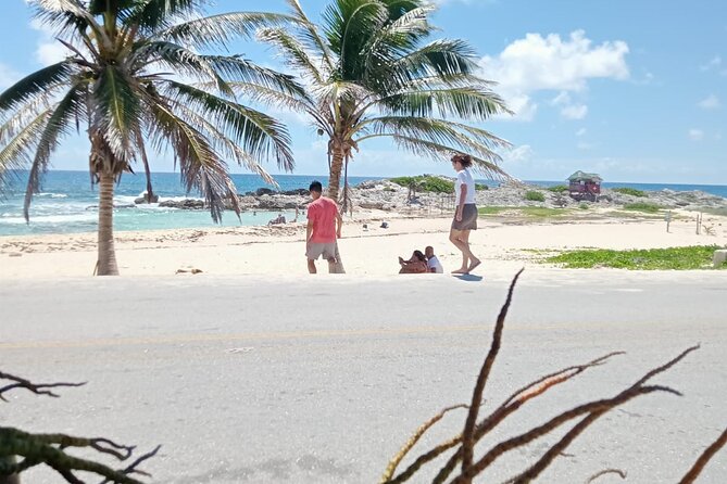 Cozumel Best Spots (Beach-Mayan Park-Downtown) - What You’re Really Buying for $53.10
