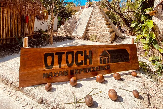 Cozumel Best Spots (Beach-Mayan Park-Downtown) - Stop 2, Punta Francesa Beach: Fine Sand and Palm Shade