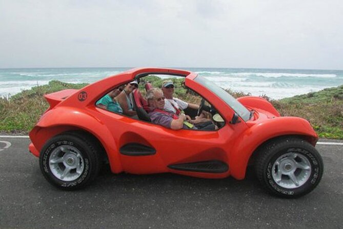 Cozumel Buggy Island Tour, Otoch Mayan Experience & Clear Boat - Meeting points and timing: how to avoid the most common stress