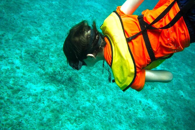 Cozumel Buggy Tour: Snorkeling , Otoch Mayan Experience & Lunch - What You’ll Likely Love, Based on Real-World Patterns