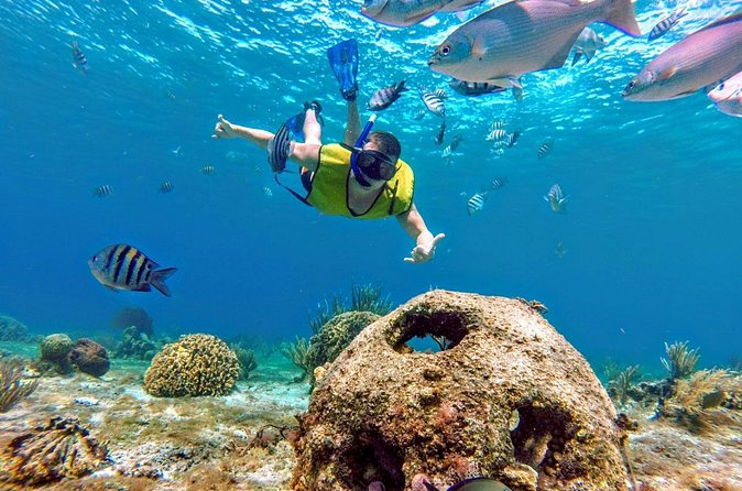 Cozumel by transparent boat and snorkeling in the sky with lunch. - Lunch Break in Cozumel: Simple, Included, and Actually Convenient