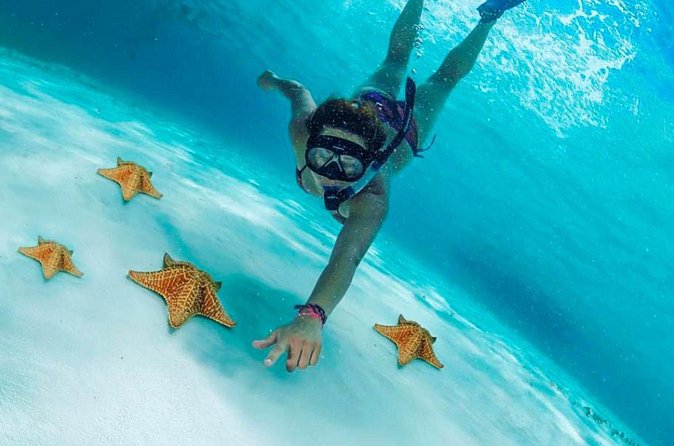 Cozumel by transparent boat and snorkeling in the sky with lunch. - Getting Back to Cancun: Ferry Timing and a Clean Finish