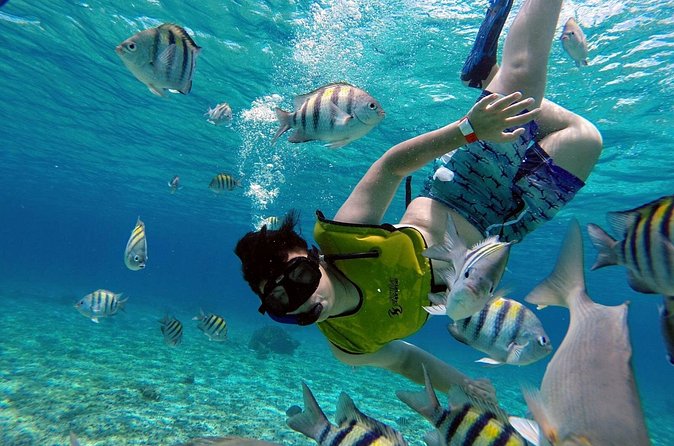 Cozumel by transparent boat and snorkeling in the sky with lunch. - Price and Value: What $200 Gets You, Plus the Taxes