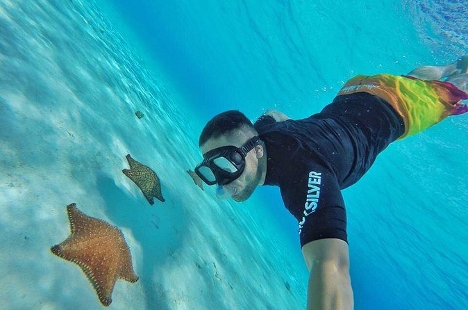 Cozumel by transparent boat and snorkeling in the sky with lunch. - Who Should Book This Tour