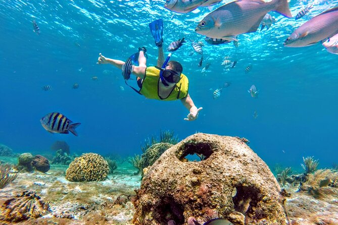 Cozumel by transparent boat and snorkeling in the sky with lunch. - The Lego Reefs Stop: A Short Snorkel With Big Reward