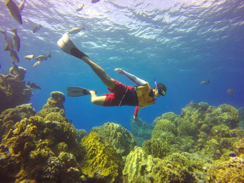 Cozumel: Catamaran, El Cielo Bay & Palancar Reef with Lunch - Palancar Reef: the coral gardens that make people plan trips