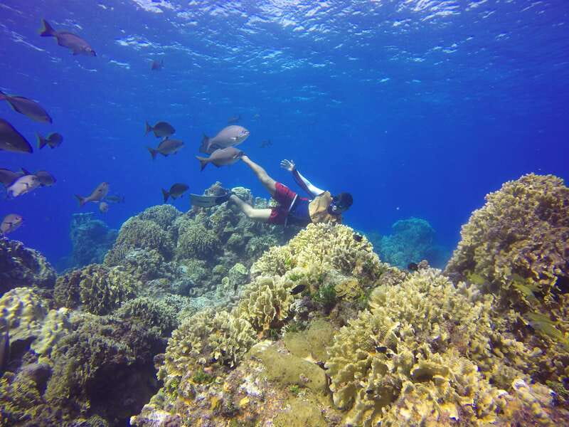 Cozumel: Catamaran, El Cielo Bay & Palancar Reef with Lunch - Price and value: what you’re actually paying for