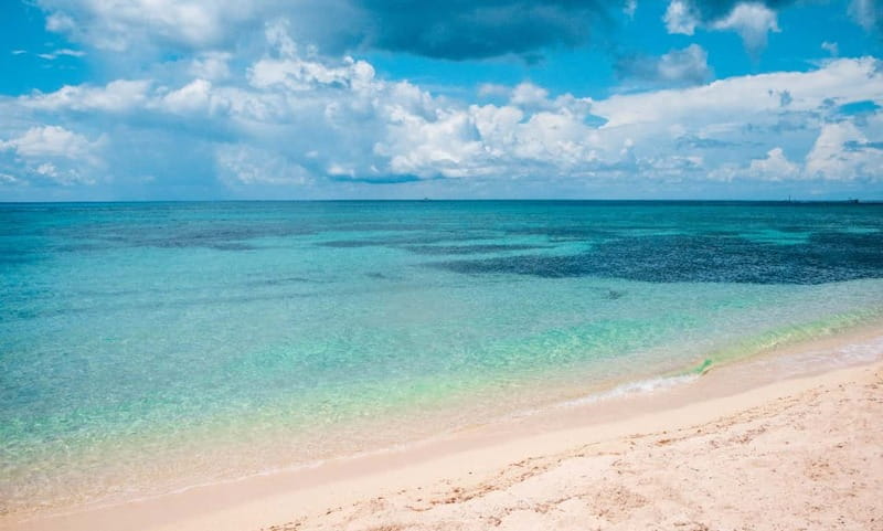 Cozumel: Catamaran, El Cielo Bay & Palancar Reef with Lunch - Meeting point and timing: where your day really starts