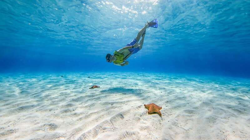 Cozumel: Catamaran, El Cielo Bay & Palancar Reef with Lunch - The catamaran ride: sun, breeze, and an organized day flow