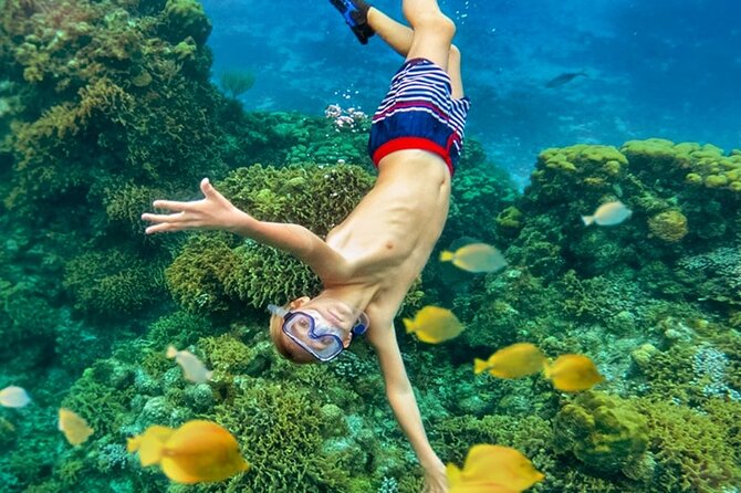 Cozumel Catamaran Experience with Snorkeling & Beach Club - Stop 2: Playa El Cielo and the private beach club vibe