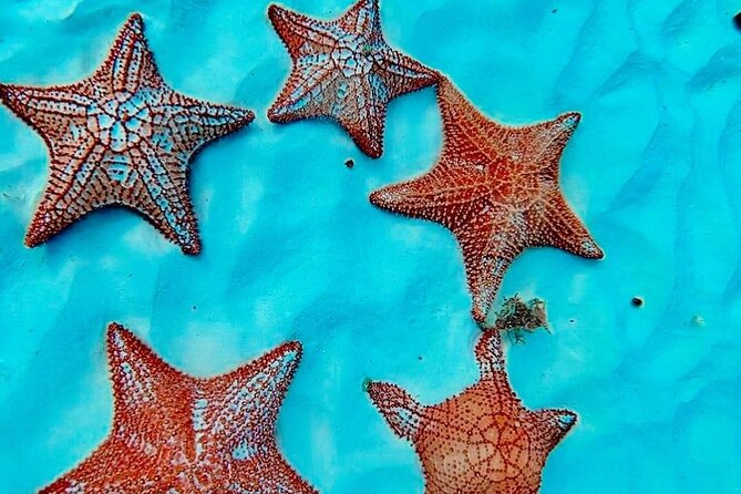 Cozumel Catamaran Fun: Snorkeling, Open Bar & Water Park - Timing and Logistics That Can Matter on Vacation