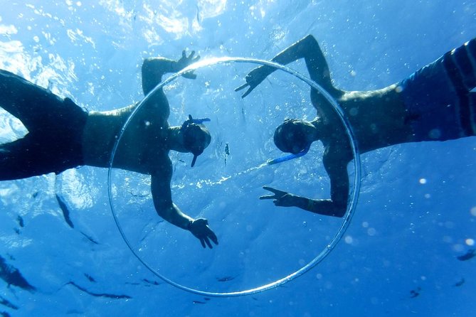 Cozumel Catamaran Snorkeling Tour & lunch - Setting Sail From Playa Mia, and Why That Matters
