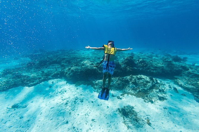 Cozumel Catamaran Snorkeling Tour & lunch - Palancar Reef: The Main Event for Color and Fish