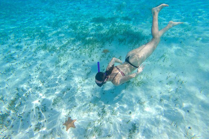 Cozumel Catamaran Snorkeling Tour & lunch - Group Size, Timing, and Weather Reality at Sea