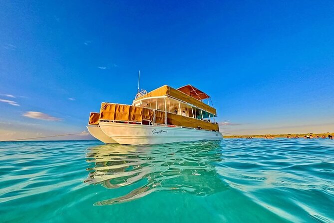 Cozumel Catamaran Tour: Snorkel at Top Reefs & Open Bar - Your afternoon plan on Cozumel’s catamaran (1 pm start)