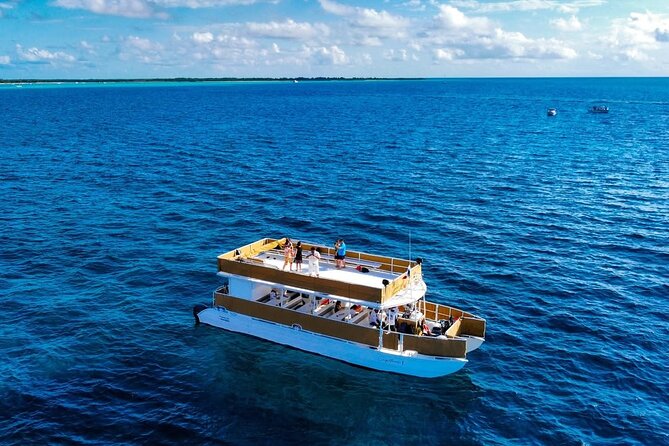 Cozumel Catamaran Tour: Snorkel at Top Reefs & Open Bar - Palancar Reef: where turtles and photos come into play