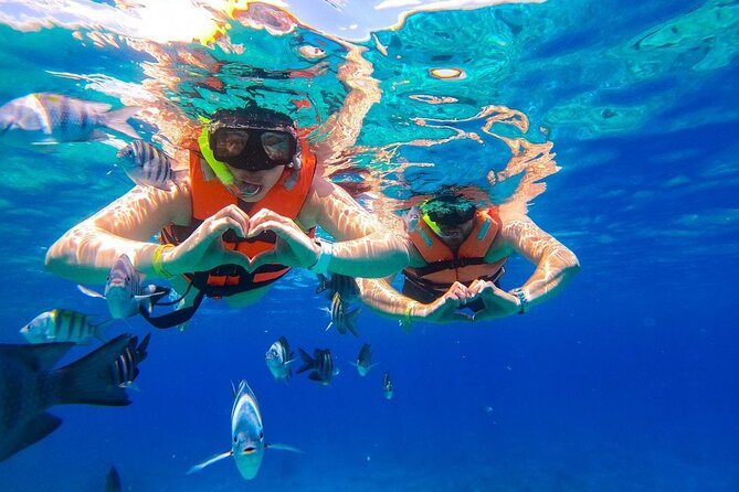 Cozumel Catamaran Tour: Snorkel at Top Reefs & Open Bar - El Cielo Sandbar starfish: the shallow stop that can make the tour