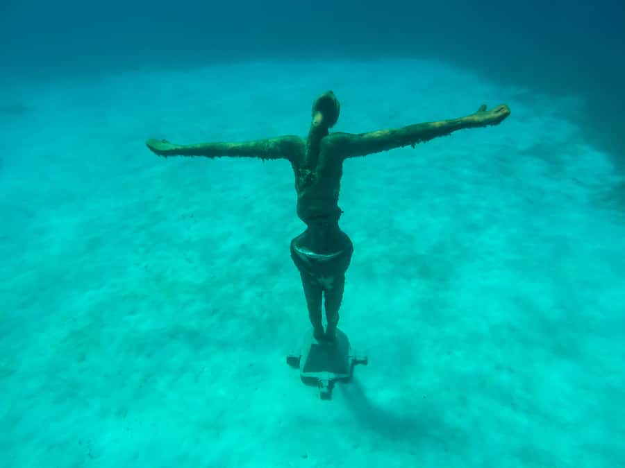 Cozumel: Chankanaab Park Admission+ Snorkel+ Welcome drink - Key things worth knowing before you buy