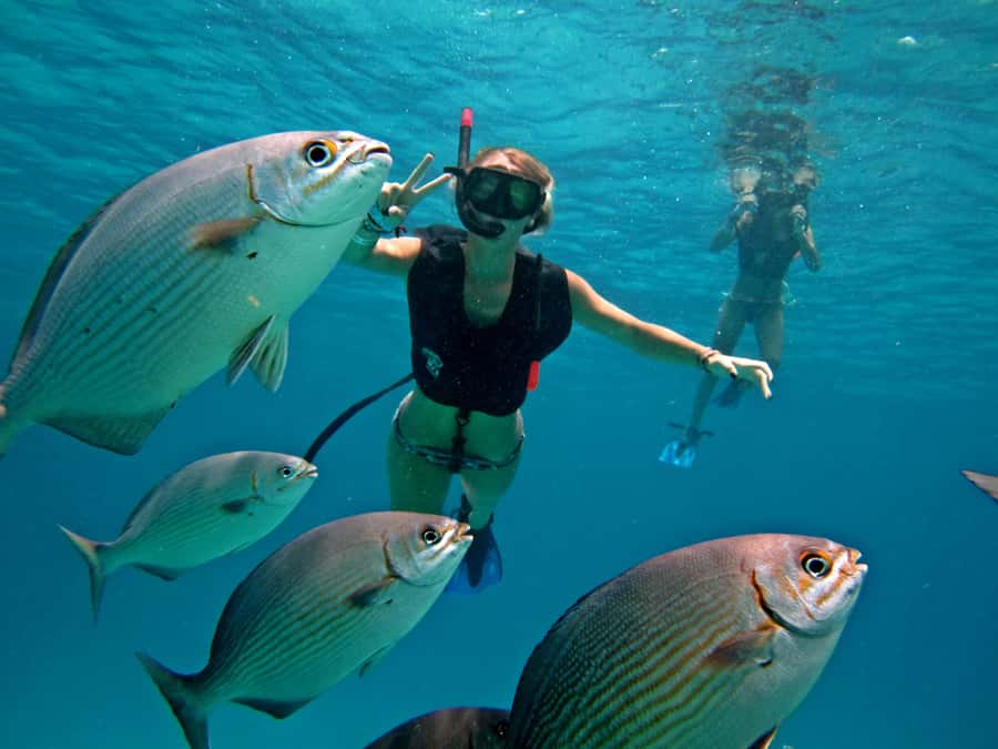 Cozumel: Chankanaab Park Admission+ Snorkel+ Welcome drink - Chankanaab Park, reef views, and why this feels like a smart Cozumel day