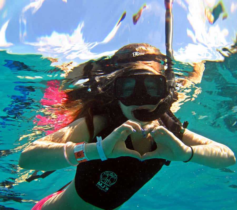 Cozumel: Chankanaab Park Admission+ Snorkel+ Welcome drink - Check-in at Chankanaab, the MJ’S Dive shop contact, and how to avoid confusion